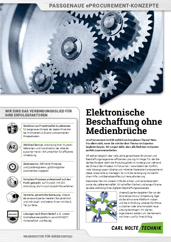 Flyer Individuelle eProcurement-Lösungen